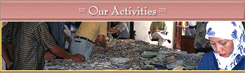 Our Activities